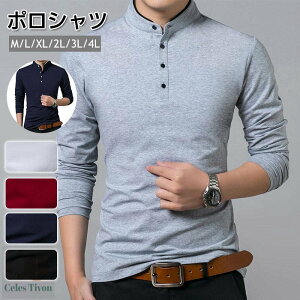 StEGA |Vc Y StVc t  H gbvX  St EFA am JWA  X|[c ܂ J rWlX ItBX gbvX 30 40 50 ʋ s 