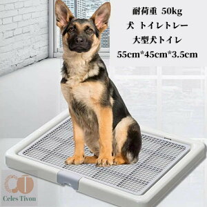  gC  gCg[ ybggC ybgg[ ^gC gC Ch pgC |ȒP R gC pgC{bNX gCg[jO 65cm*52cm*4.5cm O[