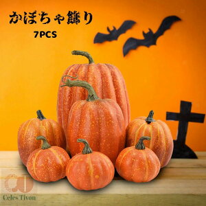 y200~N[|zz z nEB  7PCS nEB DIY ڂ ڂ  g uI[i u nEB Ӎ Zbg p[eB[ Gߏ IuWF X܎Be