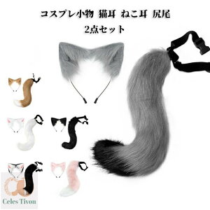 RXv L ˂ K 2_Zbg L RXv J`[V  nEB Cxg  Gɂ RXv lR~~ X`[  LN^[ 