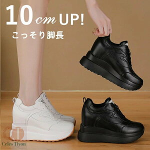 V[NbgV[Y fB[X Xj[J[ gAbv V[NbgC V[NbgXj[J[ C\[ Xj[J[ fB[X C C Xj[J[ q[ 10cm ʋC 