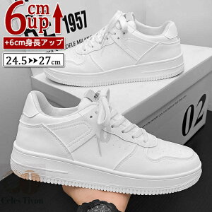 V[NbgV[Y Y  gAbv3cm up3cm q[Abv gup w Xj[J[ PUvC V[NbgV[Y YXj[J[ rWlXC C ^C amC C