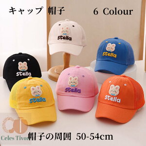 y50~N[|zzz Xq̎ 50-54cm  (2 8 ) nbg Y r[`nbg LbY uv fB[X oPbgnbg Lbv Xq Y  }nbgqp x[X{[Lbv