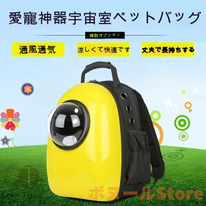 y200~N[|zz z 12F L L[obO bN  킢 n[h ybg FD obNpbN  h[^ obN bN ybgobO s o U 