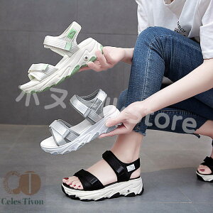 y200~N[|zz z 3F T_ fB[X X|[cT_   傫TCY ؂ tbg ₷  xN X|[c X|T Xbp  x