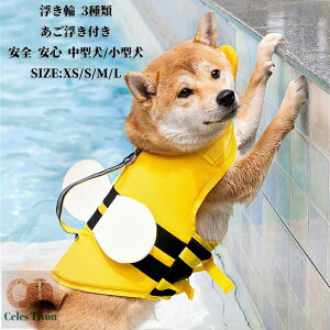 y50~N[|zz!z  t CtWPbg ybg H 킢 ^ ^ S S C V CtWPbg  CtWPbg   ybgpi r[ 