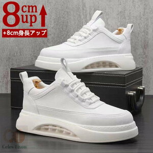 V[NbgV[Y Y  gAbv4.5cm up4.5cm q[Abv gup w  PUv C Xj[J[ V[NbgV[Y Y YXj[J[ rWlXC C 