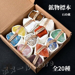 y200~N[|zz z zW{ nȊw RNVZbg ΕW{   v[g VRz AWXg q Mtg