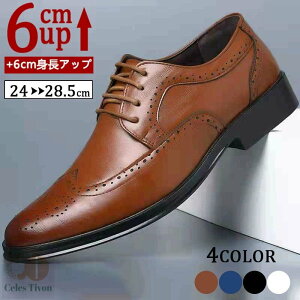 V[NbgV[Y Y  gAbv6cm up6cm q[Abv gup w  PUv rWlXV[Y Xj[J[ V[NbgV[Y Y rWlXC C ^C