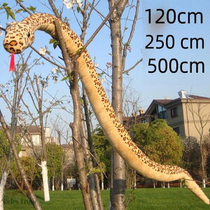 y200~N[|zz!z  ւ wr 傫 ʂ  xbh  ӂӂ ߋ ̎q  킢 j̎q  Mtg A CeA J[L zCg O[ 