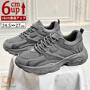 V[NbgV[Y Y  Xj[J[ gAbv6cm up6cm q[Abv gup w  C YXj[J[ V[NbgV[Y Y rWlXC C ^C 