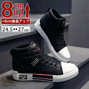 V[NbgV[Y Y  PUv Xj[J[ gAbv8cm up8cm q[Abv gup w  C YXj[J[ V[NbgV[Y Y rWlXC C ^