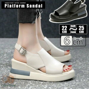 X|[cT_  fB[X T_ I[vgD EFbWT_ EFbW\[ Xj[J[ T_ r L y ʋC Xgbv v PU Vv JWA 