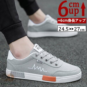 V[NbgV[Y Y  gAbv6cm up6cm q[Abv gup w Xj[J[ LoX V[NbgV[Y YXj[J[ rWlXC C ^C amC