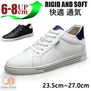 {vV[NbgV[Y Y  v Xj[J[ gAbv8cm up8cm q[Abv gup w  C YXj[J[ V[NbgV[Y Y rWlXC 