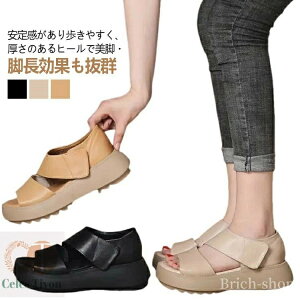 yzEH[LOT_ fB[X OpT_ X|[cT_ y r gAbv ₷ T_ b ʋC EH[LOV[Y Od T