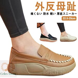 yzV[Y  Xb| RtH[gV[Y ɂȂ Xj[J[ y h C C U[