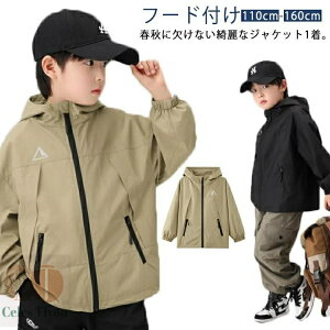 yzۈ牀  WjA JWA WbvAbv n EChu[J[ t@Xi[ t[ht  tH