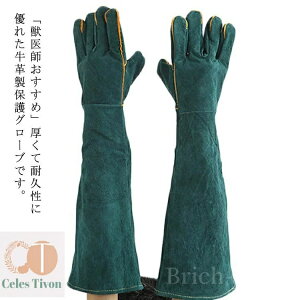yz60cm Q쏜  K[fjO O[u L ϋv bt ܐ؂ ~ ঒  BBQ v