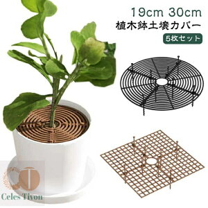 yzyB |pi bV A K[hJo[ L@h~ ėp\ AؔJo[ t[veN^[