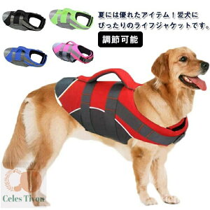 yz^ ~} CtWPbg  nht jKi p S V C V ~ ybgCtWPbg