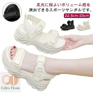 yzV wlC EH[LOV[Y RtH[g r ʋC y r[`T_ X|[cT_ C fB[X T_