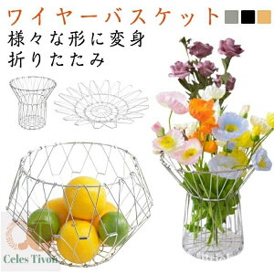 yzt[c{E oXPbg  C[{E t[coXPbg ܂肽 C[oXPbg ό`\ XeX