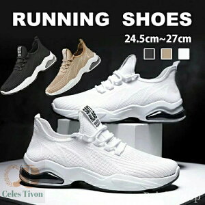 yzWM ^C EH[LOV[Y NbV h ʋC y jp jOV[Y  Y Xj[J[