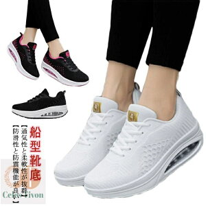 yz Ȃ EH[LOV[Y 5cm D^  p i[XV[Y _CGbgV[Y fB[X Xj[J[