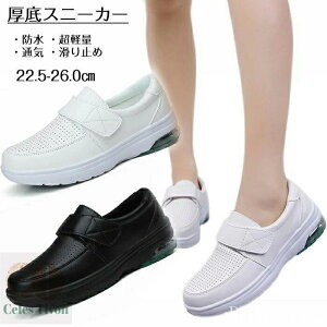 yzJW ~ ʋC  y JWAV[Y C Xj[J[ jOV[Y h fB[X Y Xj[J[