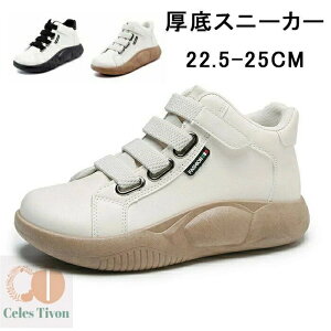 yzC  RtH[gV[Y  Xb| fB[X Xj[J[ Xj[J[ O V[Y fB[X