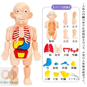 yzqǂ gݗ   ̉Uf l̉U͌^ l̉Uf{fB l̖͌^ l̃pY