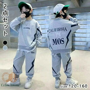 yz XEFbg ~ tH 160 150 140 130 120 WjA j̎q LbY _Xߑ ㉺2_Zbg ZbgAbv W[W q