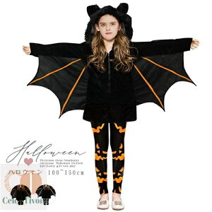 yzo  ϑ }g  q ߑ  opCA }g RE` q RXv L