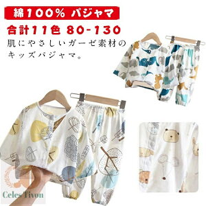 yz tďH 100 q 90 pW} xr[ j̎q q  {^ 80 K[[ ㉺Zbg 120 q