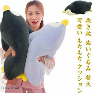 yzQ q n yM ܂ v~A q 70cm 60cm 50cm  NbV    ʂ