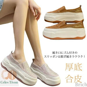 yzfB[X 킢  JWA  Xj[J[ C 5cmq[ l 傫TCY Cq[ [Jbg