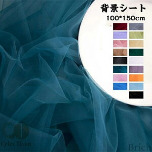 yzy2zwiV[g Bepwiz `[ TCY100*150cm X^WIwiXN[V[g ʐ^