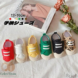 yzqV[Y qC 㗚 LbY   ̎q j̎q  fUC w  JWA  WjA tHC t ۈ牀 ۈ珊 wN fbLV