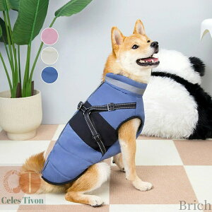 yzybg H~ hbOEFA pxXghR[g AE^[    ybgEFA o U ^ ^ ^ ubN