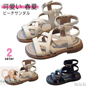 yzt JWA AEghA r[T ۈ牀 LbY ct   wZ  w 16-23cm  C