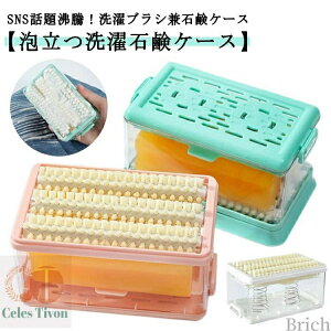 yzΌP[X ꗎƂ ߗނ̉  jz[  㗚 q   G ACfA u