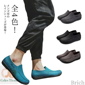 yzY d  rWlX JWA Ɨp ʊw ~[C ނ 䕗 J̓ ~J JC hV[Y  h