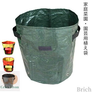 yzϗtA͔| |p p ʋC 3Zbg A琬 |G` e ͔| A؃|bg | ͔|p