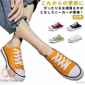 yzCG[ O[ JWAV[Y t ɂȂ Ȃ RtH[gV[Y EH[LOV[Y