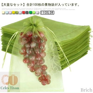 【送料無料】100枚セット!果物保護袋 野菜 ネット フルーツネット 果物保護ネット 園芸ネット 果物袋 保護ネット 防虫 ネット