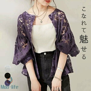 T}[J[fBK [XKE fB[X     t J[f r[ r[`EFA fB[X V[X[ VA[ WPbg V[g ԕ[X { [XKE UV 