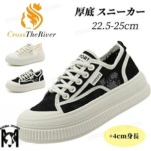 [XT_ fB[X  Xj[J[ ₷ IV 4cm ؂ wlC q[ ʋC ₷ Ȃ T_Xj[J[ ؍ fB[X r Ȃ ɂȂ 