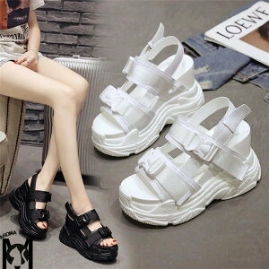 T_ fB[X X|[cT_ T_ ʋC RtH[g q[12cm CuV[Y X IV ؍t@V r[`T_ EFbW\[ ~[ C AEgh