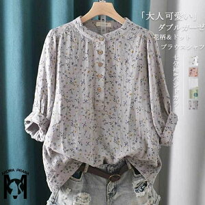 uEX  K[[ Vc Vc K[[Vc fB[X  VcuEX  uEXVc vI[o[ ȃVc Rbg tVc  V[g Vc ԕ 